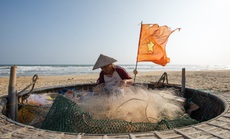 Câu chuyện về ngư dân Hội An thời Covid-19 trên báo Mỹ