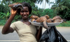 Ốc sên khổng lồ - đặc sản ăn vặt ở châu Phi