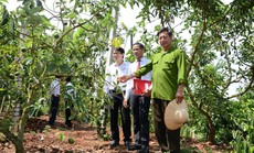 Agribank vì cộng đồng - một hành trình không mỏi