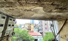 Có cơ chế đặc thù mới cải tạo được chung cư cũ