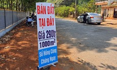 Trị "sốt đất", HoREA đề xuất hàng loạt loại thuế