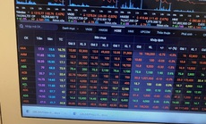 Đầu tuần chứng khoán "đỏ" sàn