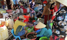 Du khách đổ về Bà Rịa - Vũng Tàu ăn hải sản, giá cả tăng vọt