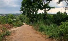 Bất động sản vùng ven bớt chộn rộn