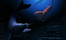 Lộ diện quái vật chưa từng thấy, có họ với khủng long, rắn, rồng