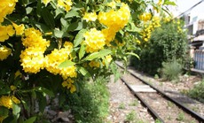 Chồng quá ghen tuông khiến tôi mỏi mệt