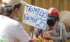 Nghịch lý xoài mút Trung Quốc bán chạy giữa lúc xoài Việt Nam thu hoạch rộ