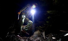 CẮM CHỐT CÙNG LÍNH BIÊN PHÒNG (*): Trắng đêm xuyên rừng tuần tra