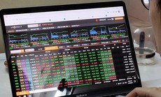 Giá tăng chóng mặt, mã nào vô địch trong nhóm "cổ phiếu vua"?