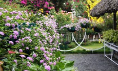 Vợ tôi là "thứ đàn bà không nên nết"