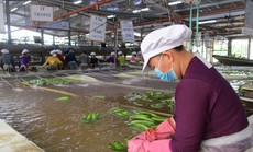 Cần gói hỗ trợ thực chất cho doanh nghiệp