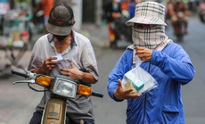 Người bạn trong thành phố