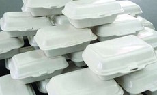 Cảnh báo về môi trường sau đại dịch