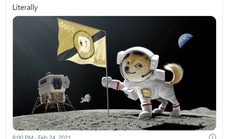 Cơn sốt đầu tư coin động vật tại Việt Nam giờ ra sao?