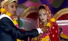 Cô dâu gục chết trong đám cưới, em gái cưới luôn chú rể