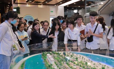 Chuyên ngành kinh doanh bất động sản tại Nova College hội tụ nhiều ưu thế