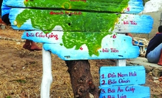 Hòn Cau - nét quyến rũ từ vẻ hoang sơ