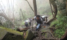 Cáp treo Fansipan và khát vọng chinh phục của những người trẻ