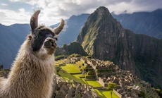 Mở cửa đường mòn dẫn đến "thành phố bị mất của người Inca"