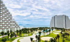 Ông Trần Nhật Thành, Chủ tịch Delta Group: “Sau bao chông gai, The Arena sẽ là trái ngọt”