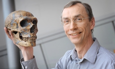 Nobel Y học 2022 vinh danh bạn đồng hành của loài người tuyệt chủng Neanderthals