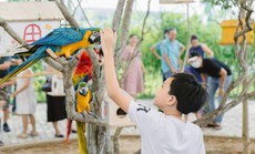 Charm Resort Hồ Tràm đáp ứng nhu cầu nghỉ dưỡng cuối tuần nhờ hệ tiện ích đa dạng