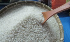 Cân bằng lợi ích trong xuất - nhập khẩu gạo