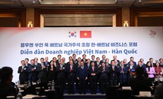 Chủ tịch nước: Hợp tác doanh nghiệp Việt - Hàn sẽ mang đến luồng sinh khí mới