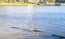 Phát hiện thi thể người đàn ông nổi trên hồ Xuân Hương Đà Lạt