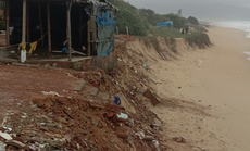 Sạt lở bờ biển nghiêm trọng, Bình Định sơ tán khẩn cấp gần 20 hộ dân
