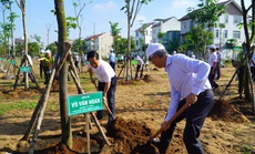 TP HCM phát động "Tết trồng cây đời đời nhớ ơn Bác Hồ năm 2022"
