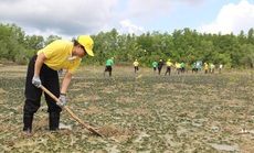 VWS tham gia trồng cây tại rừng ngập mặn Cần Giờ
