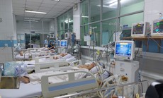 TP HCM: Thêm 1 bệnh nhân tử vong vì sốt xuất huyết