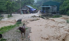 Huyện biên giới Thanh Hóa sơ tán khẩn cấp 100 hộ dân do mưa lớn, sạt lở