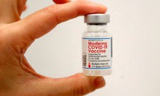 EU và Moderna "bắt tay": Tháng 9 sẽ có vắc-xin kháng Omicron?