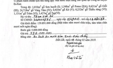 Đắk Lắk: Công an điều tra dấu hiệu bất thường trong vụ bán đấu giá tài sản tang vật
