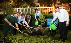 TP HCM tổ chức trồng cây bàng vuông do quân và dân Trường Sa gửi tặng