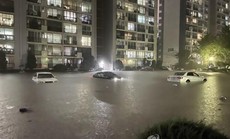 8 người chết trong trận mưa kỷ lục ở Hàn Quốc