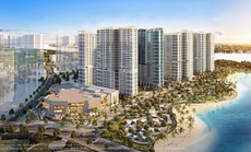 Chính sách cam kết tiền thuê tại The Beverly gây sốt giới đầu tư