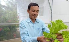 CLIP: Bỏ việc giám đốc về trồng rau thủy canh