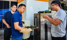 Nhiều cơ hội cho start-up xanh