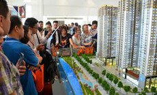Kiến nghị gia hạn Thông tư 08 thêm 12 tháng