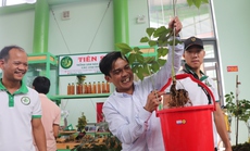 Quảng Nam yêu cầu công an điều tra việc mua bán sâm Ngọc Linh "dỏm"