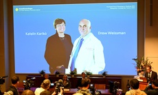 Nobel Y sinh 2023: Đột phá khoa học đối đầu COVID-19