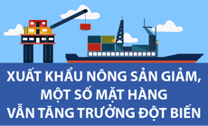 Infographic: Xuất khẩu nông sản giảm, một số mặt hàng vẫn tăng trưởng đột biến