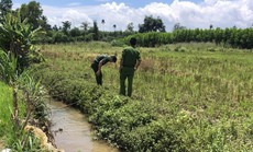 Bắt cua ngoài đồng, người phụ nữ tử vong cạnh bẫy chuột bằng kích điện