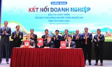 Thu hút đầu tư của Tây Ninh đạt nhiều kết quả ấn tượng