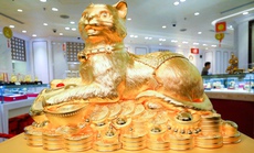 Cận cảnh tượng mèo bằng vàng 9999 khổng lồ nặng 48 kg