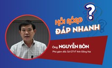 Lý do tỉnh Đồng Nai thống nhất xây dựng 3 cây cầu kết nối với TP HCM