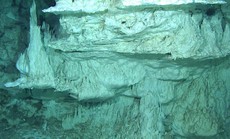 Sinh vật mới từ "thế giới mất tích": Có đồng loại ngoài hành tinh?
